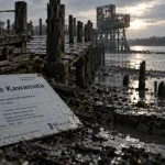 À Lavau-sur-Loire, la passerelle de Kawamata sera bien démontée