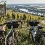 La Rentrée du vignoble à vélo revient dimanche près de Nantes
